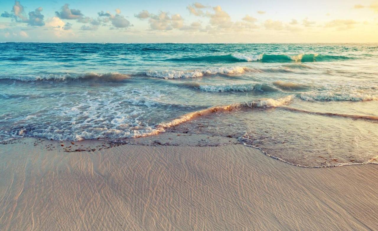 פונטה קאנה Playa Palmera Beach Resort מראה חיצוני תמונה